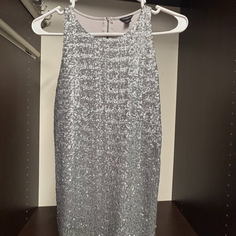 Ann Taylor Silver Sequin Sleeveless Top Size Small